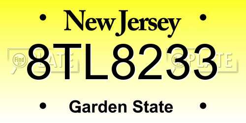 8TL8233 New Jersey License Plate