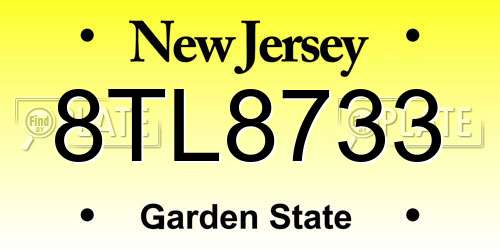 8TL8733 New Jersey License Plate