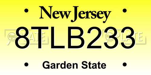8TLB233 New Jersey License Plate