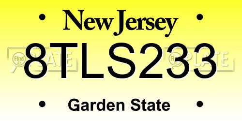 8TLS233 New Jersey License Plate