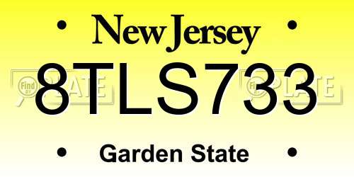8TLS733 New Jersey License Plate