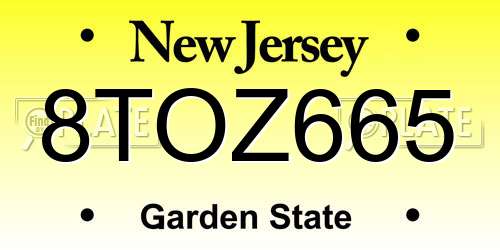 8TOZ665 New Jersey License Plate