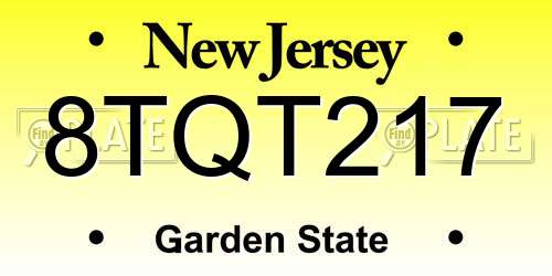 8TQT217 New Jersey License Plate