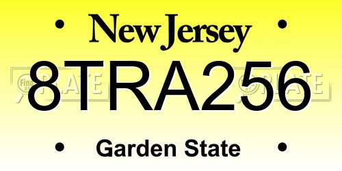 8TRA256 New Jersey License Plate