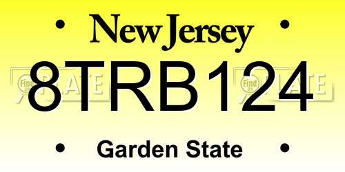 8TRB124 New Jersey License Plate