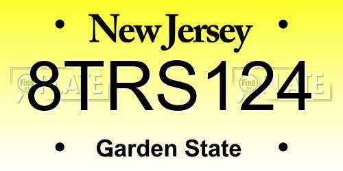 8TRS124 New Jersey License Plate