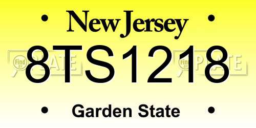 8TS1218 New Jersey License Plate
