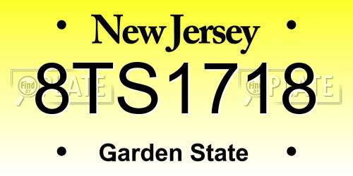 8TS1718 New Jersey License Plate