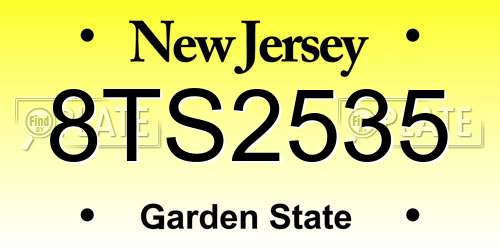 8TS2535 New Jersey License Plate
