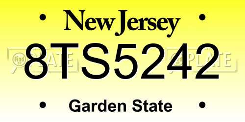 8TS5242 New Jersey License Plate