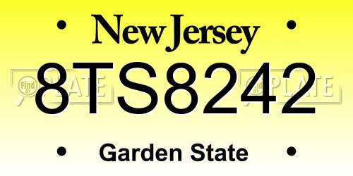 8TS8242 New Jersey License Plate