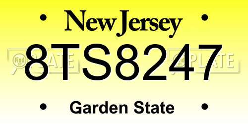 8TS8247 New Jersey License Plate