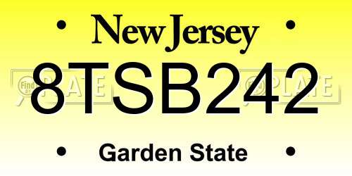 8TSB242 New Jersey License Plate