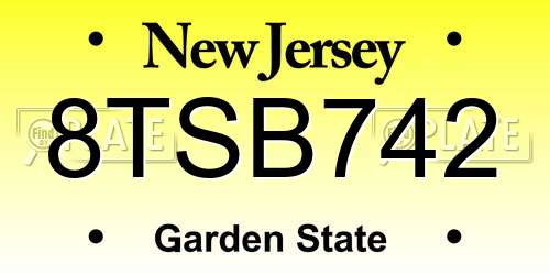 8TSB742 New Jersey License Plate