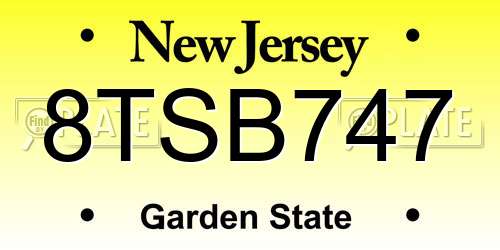 8TSB747 New Jersey License Plate