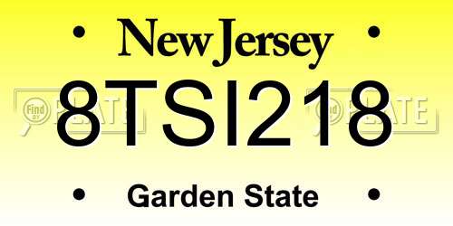 8TSI218 New Jersey License Plate