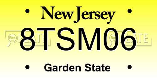 8TSM06 New Jersey License Plate