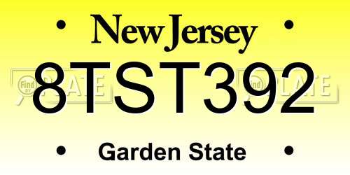 8TST392 New Jersey License Plate