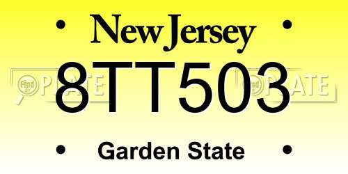 8TT503 New Jersey License Plate