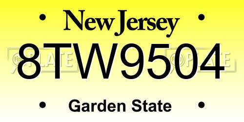 8TW9504 New Jersey License Plate