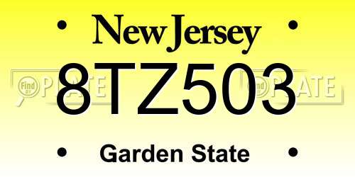 8TZ503 New Jersey License Plate