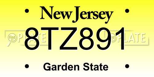 8TZ891 New Jersey License Plate