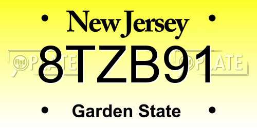 8TZB91 New Jersey License Plate