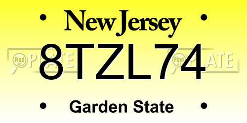 8TZL74 New Jersey License Plate