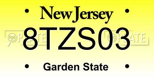 8TZS03 New Jersey License Plate