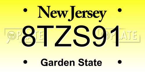 8TZS91 New Jersey License Plate