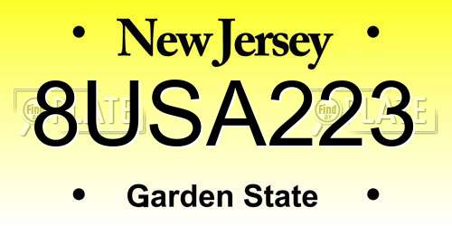 8USA223 New Jersey License Plate
