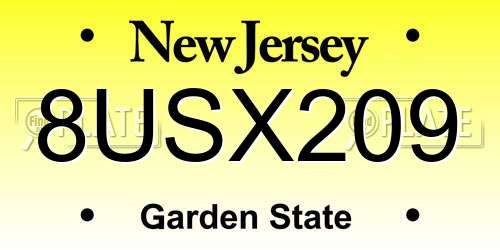 8USX209 New Jersey License Plate