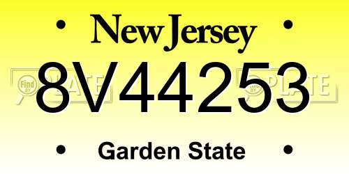 8V44253 New Jersey License Plate