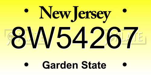 8W54267 New Jersey License Plate
