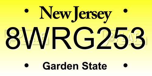 8WRG253 New Jersey License Plate