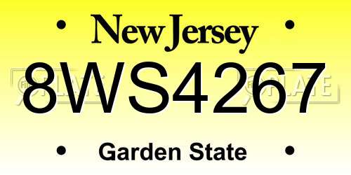 8WS4267 New Jersey License Plate