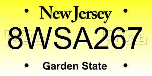 8WSA267 New Jersey License Plate