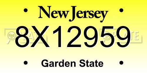 8X12959 New Jersey License Plate