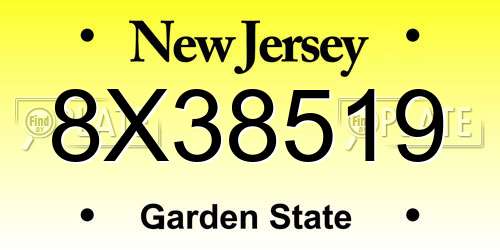 8X38519 New Jersey License Plate