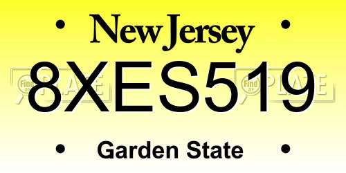 8XES519 New Jersey License Plate