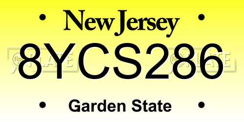 8YCS286 New Jersey License Plate