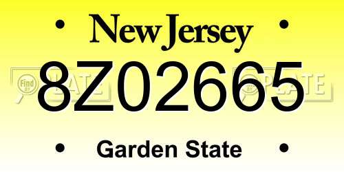 8Z02665 New Jersey License Plate