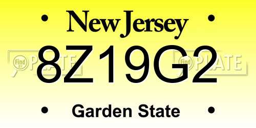 8Z19G2 New Jersey License Plate