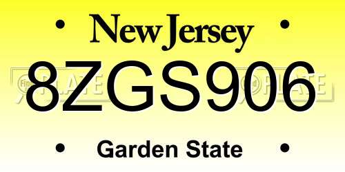 8ZGS906 New Jersey License Plate