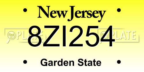8ZI254 New Jersey License Plate