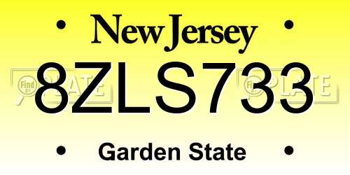 8ZLS733 New Jersey License Plate