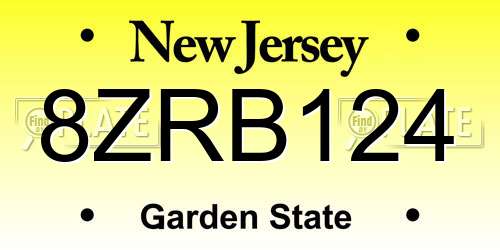 8ZRB124 New Jersey License Plate