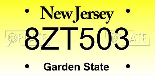 8ZT503 New Jersey License Plate