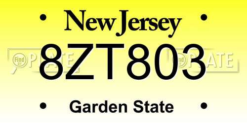 8ZT803 New Jersey License Plate
