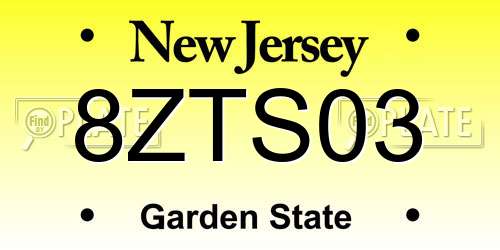 8ZTS03 New Jersey License Plate